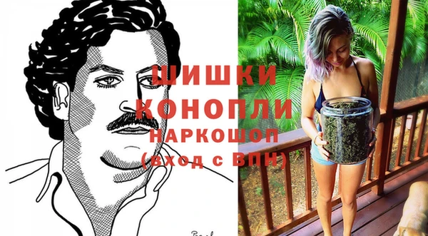 прущие грибы Михайловка
