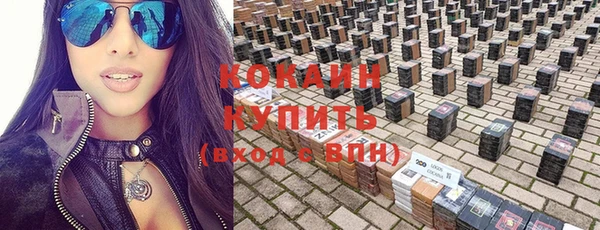 прущие грибы Михайловка