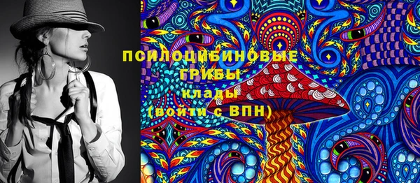 прущие грибы Михайловка
