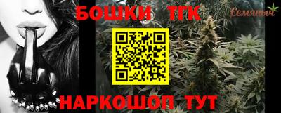 индика Абинск