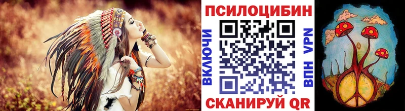 Псилоцибиновые грибы мицелий  Купить  Астрахань 