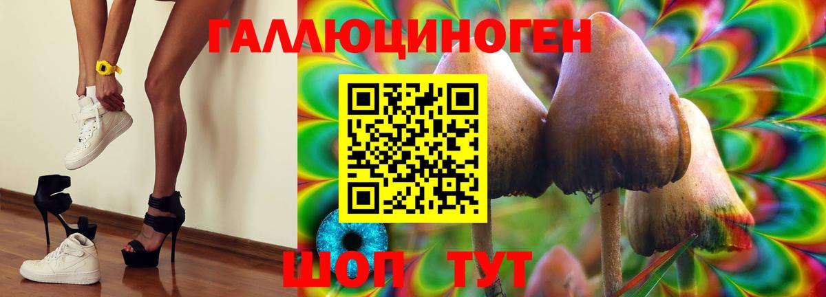 Галлюциногенные грибы MAGIC MUSHROOMS Астрахань