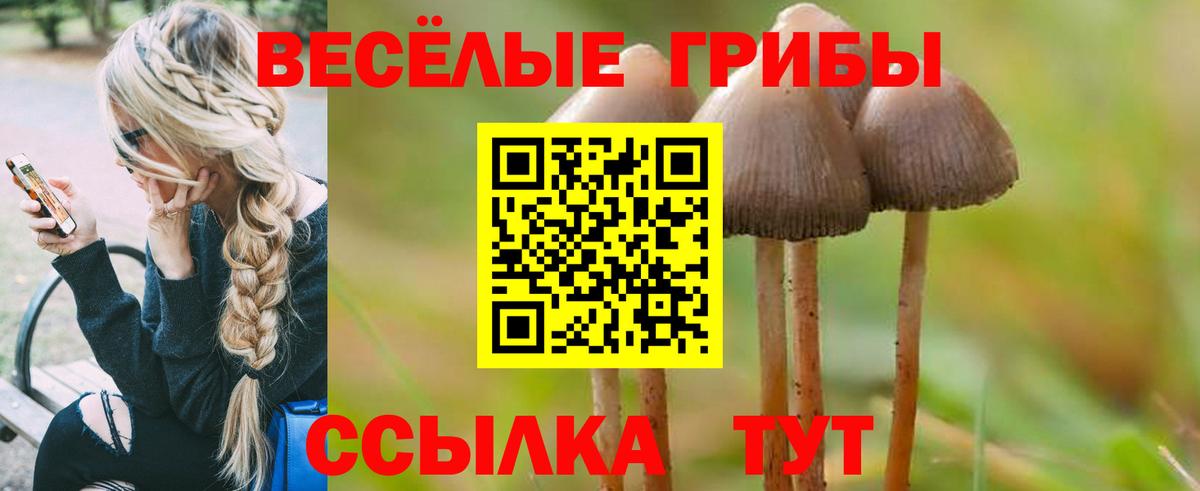 Псилоцибиновые грибы Psilocybe  Вход с VPN  Галлюциногенные грибы MAGIC MUSHROOMS  Астрахань 