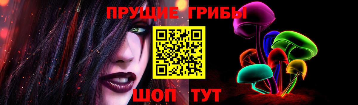 Псилоцибиновые грибы Psilocybine cubensis Астрахань